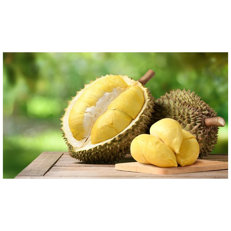 DURIAN